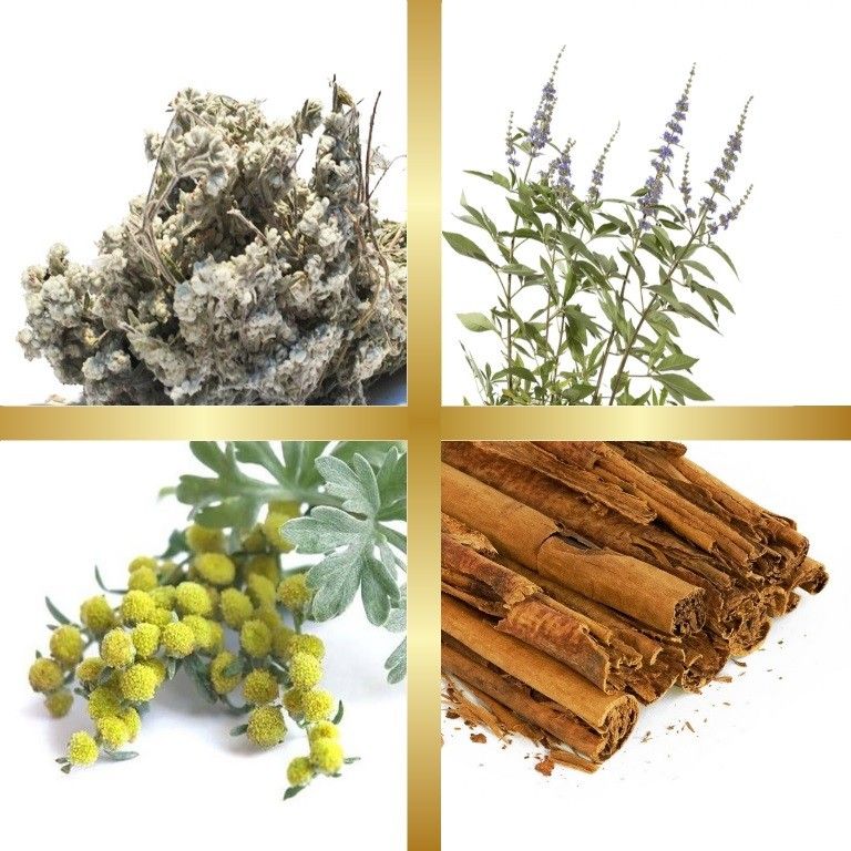 Μίγμα Βαμμάτων με Λαγοκοιμηθιά, Λυγαριά, Αψιθιά & Κανέλα Κεϋλάνης (Ευεξία Σακχάρου) 50ml