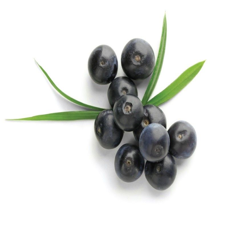 Κάψουλες Acai Berry (Ακάι Μπέρι) 70 τεμάχια 600mg