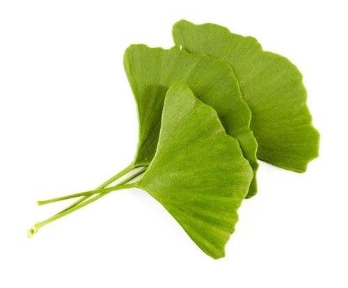 Κάψουλες Τζίνγκο Μπιλόμπα 70 τεμάχια 600mg