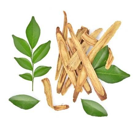 Βάμμα Γλυκόριζα 50ml