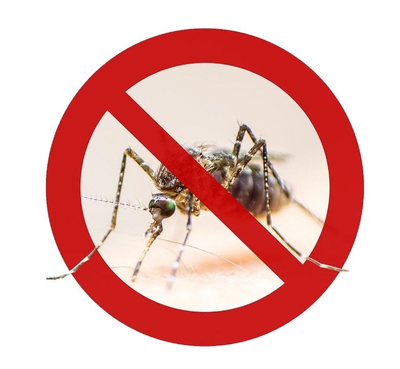 Μίγμα αιθερίων για Απώθηση Κουνουπιών