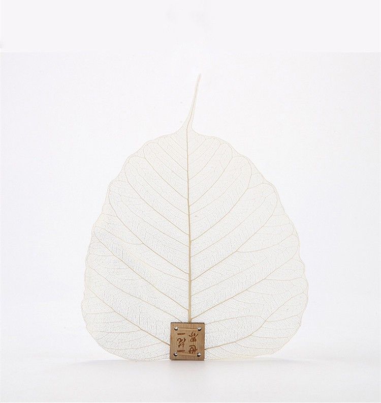 Φίλτρο τσαγιού από πραγματικά φύλλα δέντρου Bodhi