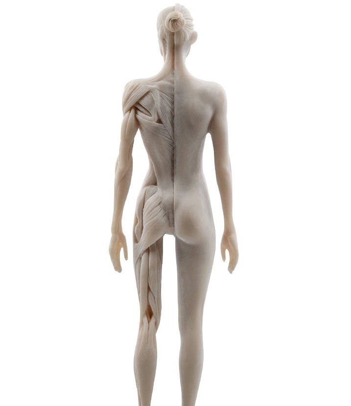 Μίγμα Βαμμάτων για Ευεξία του Μυοσκελετικού 50ml