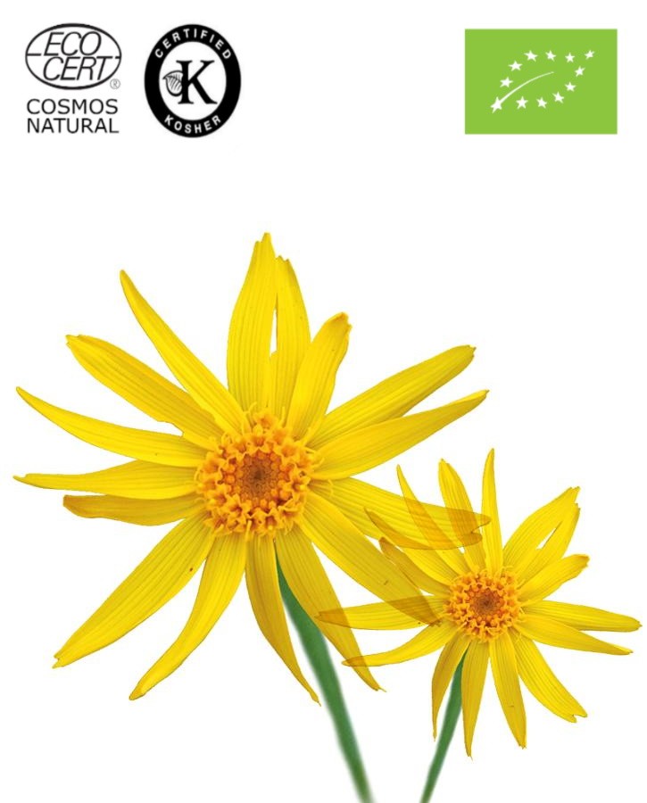 Άρνικα Λάδι ΒΙΟ