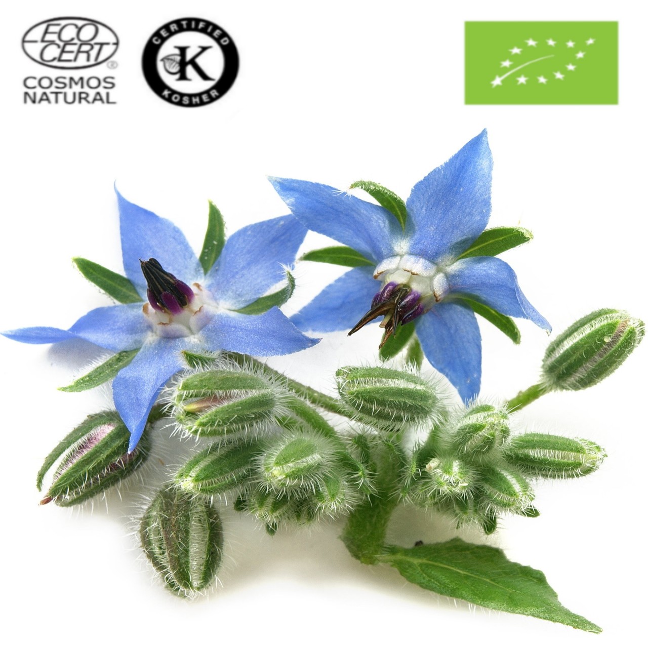 Μπουράτζα Λάδι ΒΙΟ