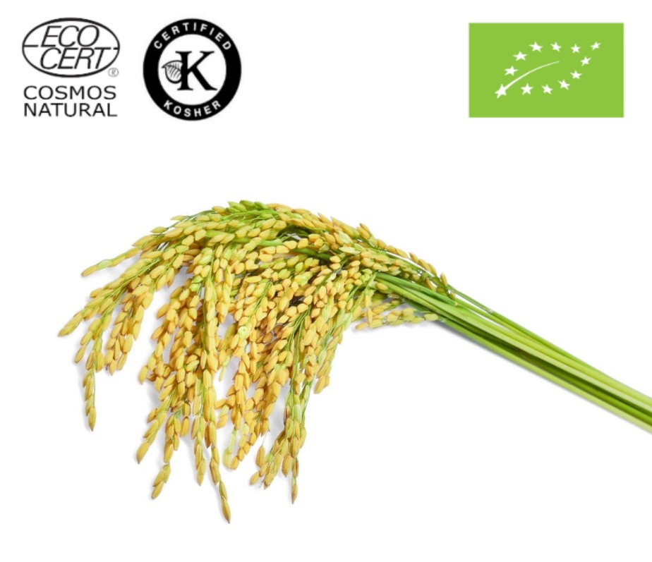 Ρυζέλαιο ΒΙΟ