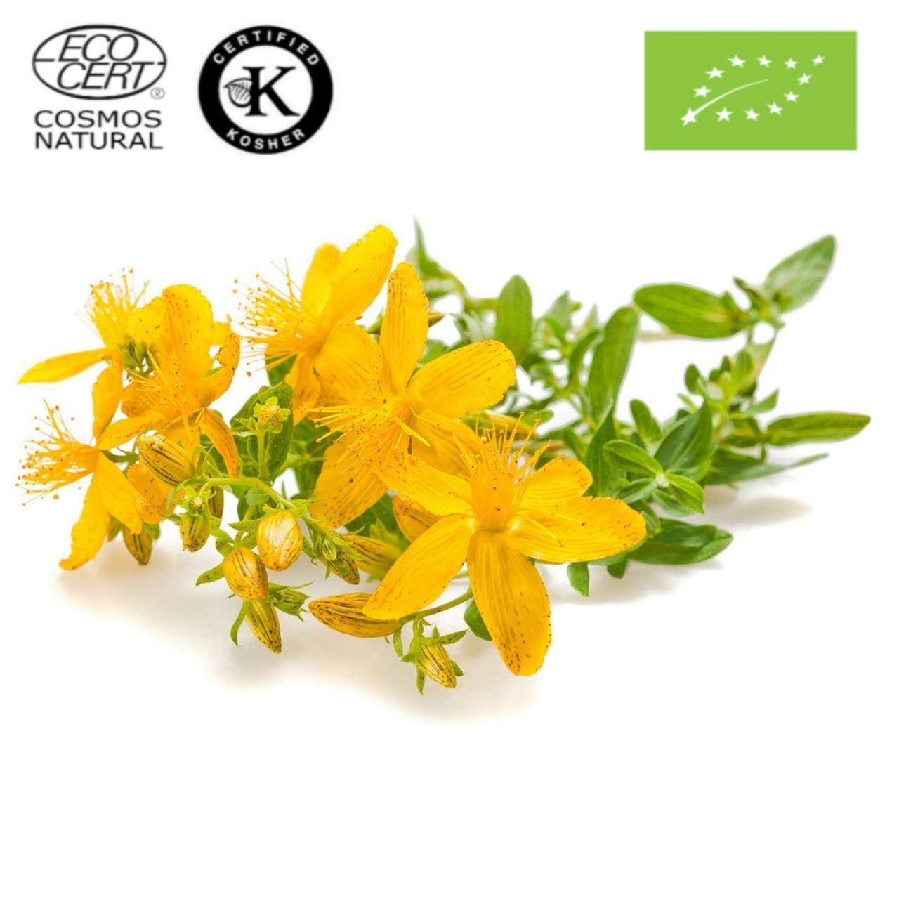 Βαλσαμέλαιο (Σπαθόλαδο) ΒΙΟ