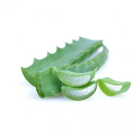 Aloe Vera Kapseln 70 Stck 600 mg - HerbStore - ,