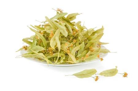 Τίλιο ή Φλαμούρι σε εμβαπτιζόμενα φακελάκια