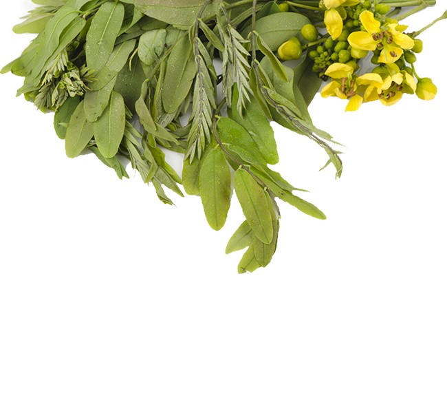 Κάψουλες Σιναμική 70 τεμάχια 600mg