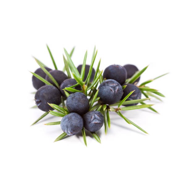 Αιθέριο Έλαιο Άρκευθο (Άγριο Κυπαρίσσι) ΒΙΟ