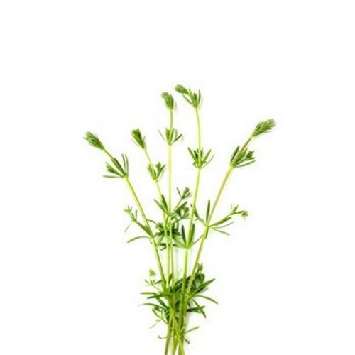 Βάμμα Κολλιτσίδα (Γάλιο) 50ml