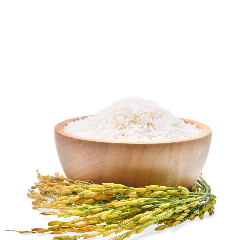 Φυτική Πρωτεϊνη Ρυζιού 80% ΒΙΟ