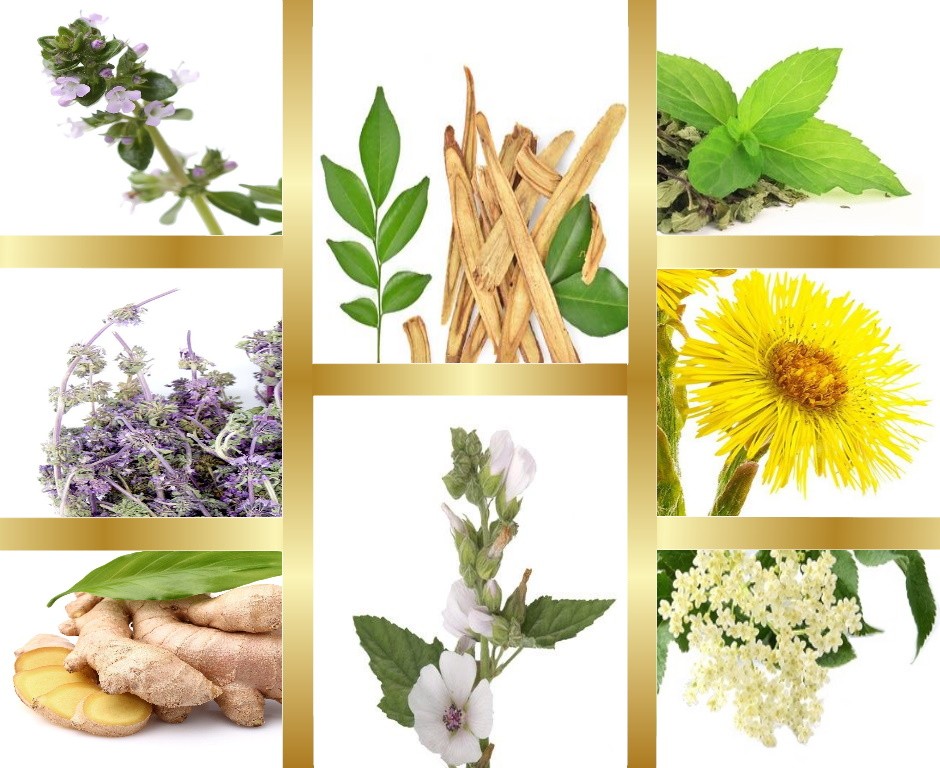 Μίγμα Βοτάνων Cold σε εμβαπτιζόμενα φακελάκια