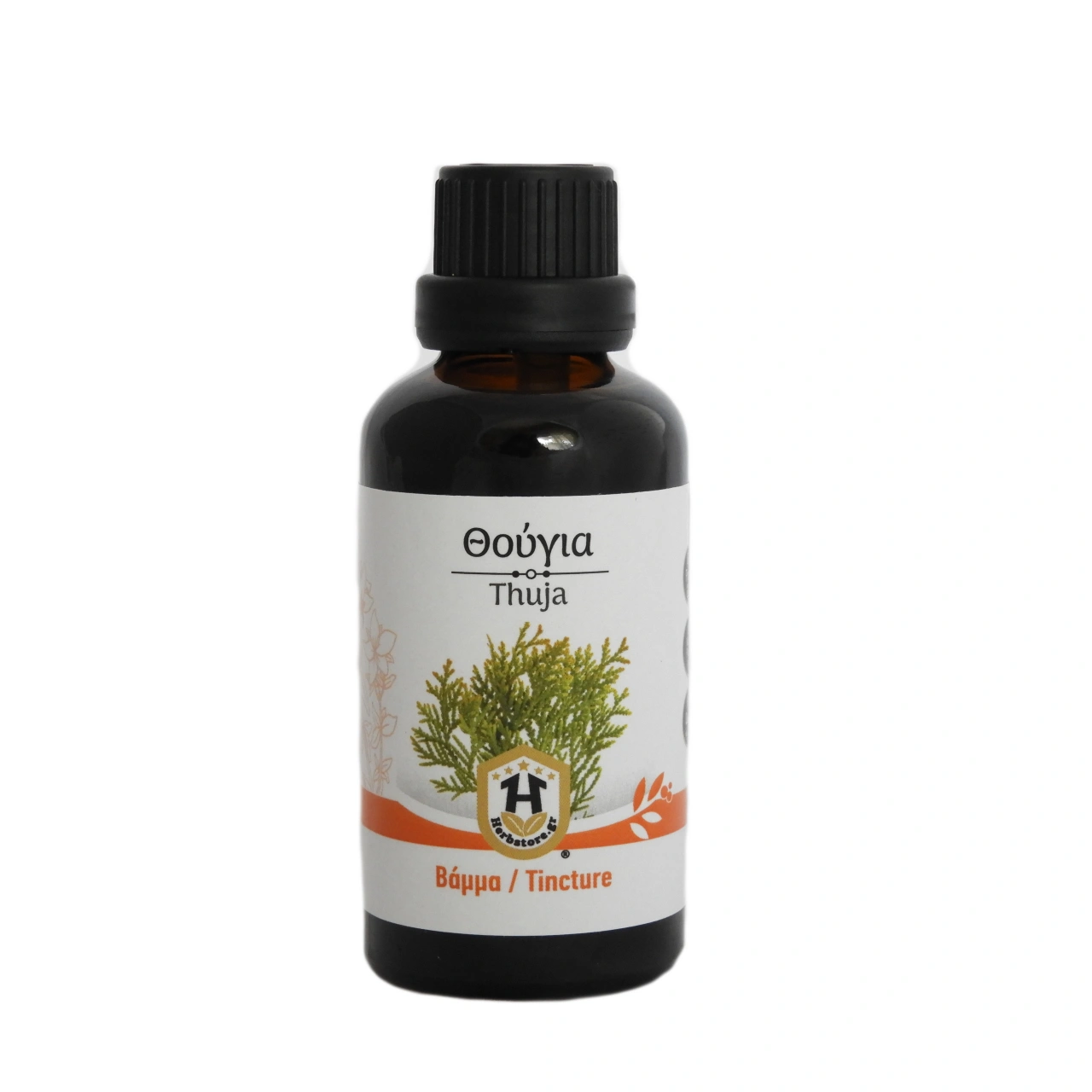 Thuja Tinktur 50 ml - HerbStore - ,