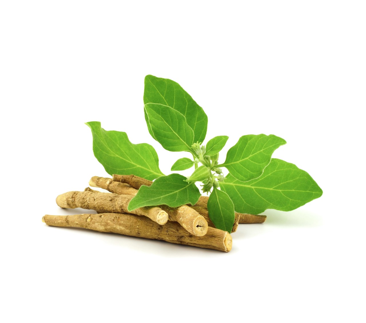 Ασβαγκάντα σκόνη (Ashwagandha powder) ΒΙΟ