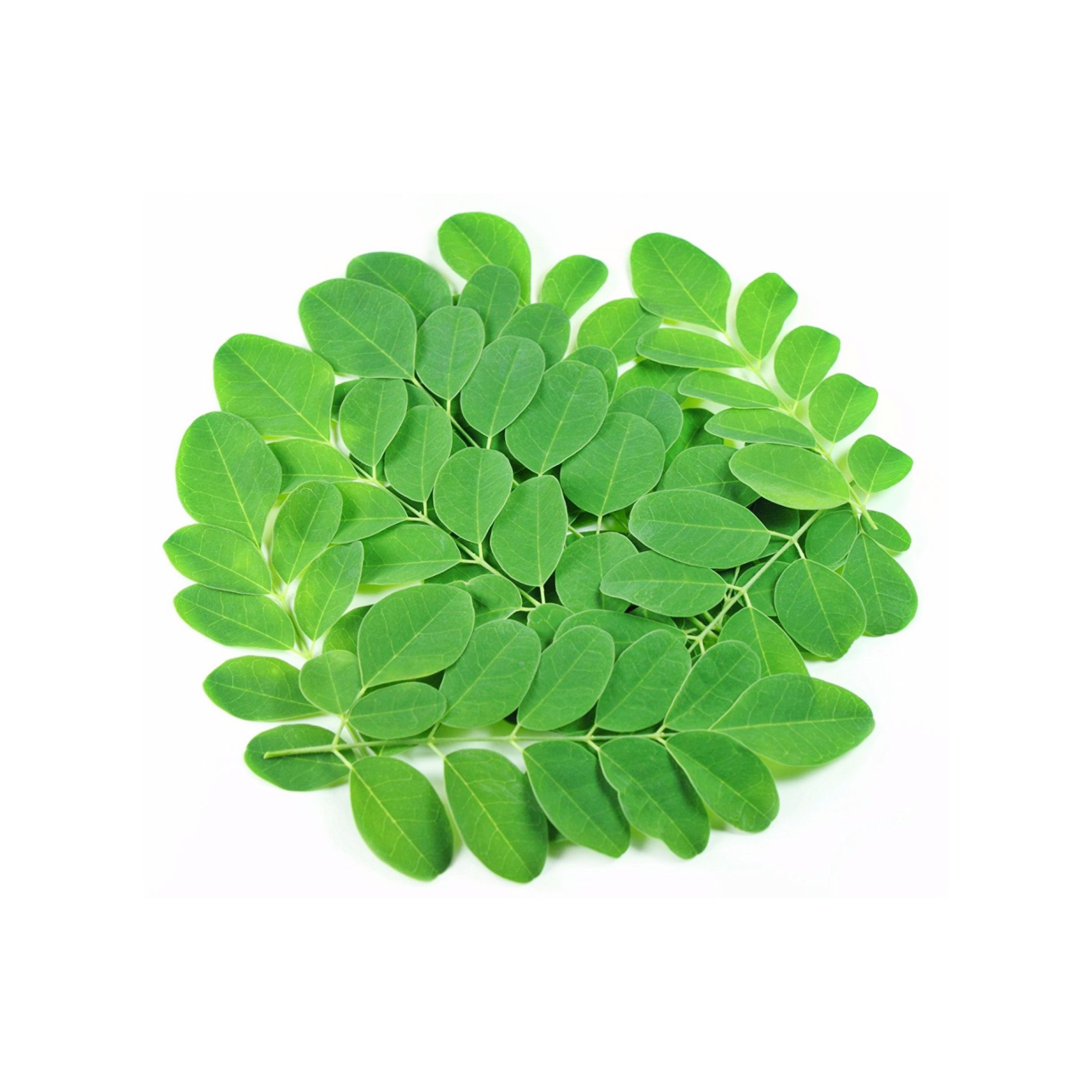 Μορίνγκα σκόνη (Moringa powder) ΒΙΟ