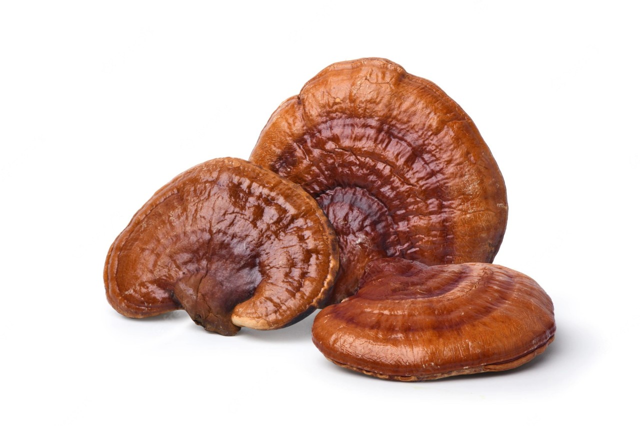 Μανιτάρι Reishi (σκόνη) ΒΙΟ