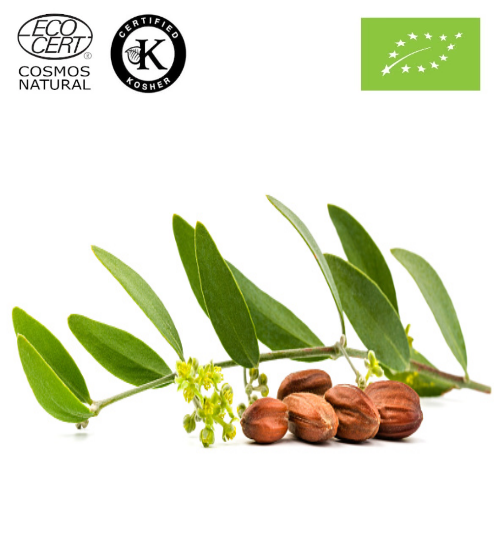 Τζοτζόμπα Λάδι ΒΙΟ