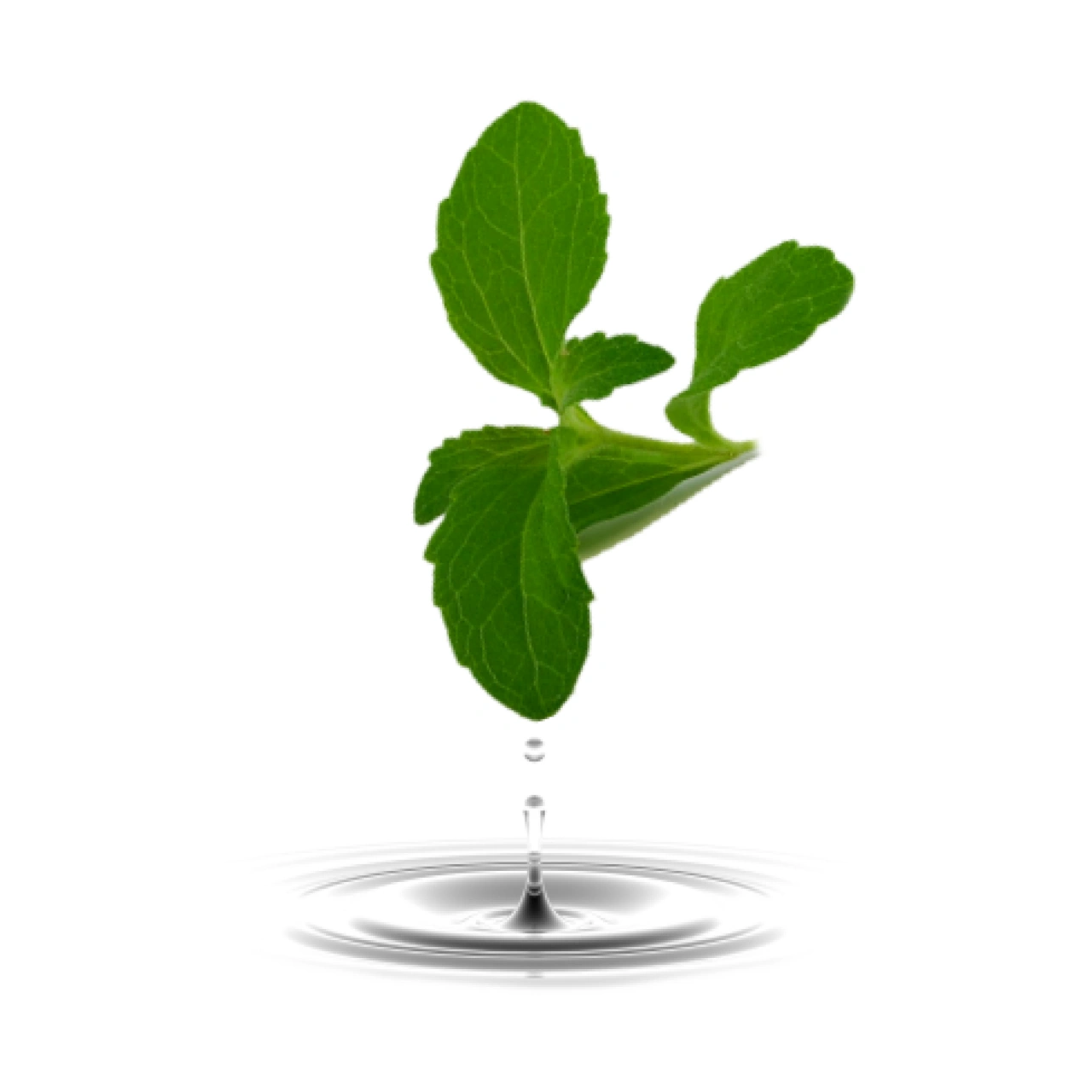 Στέβια Υγρή