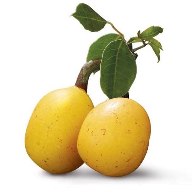 Μαρούλα Λαδι - Marula ΒΙΟ