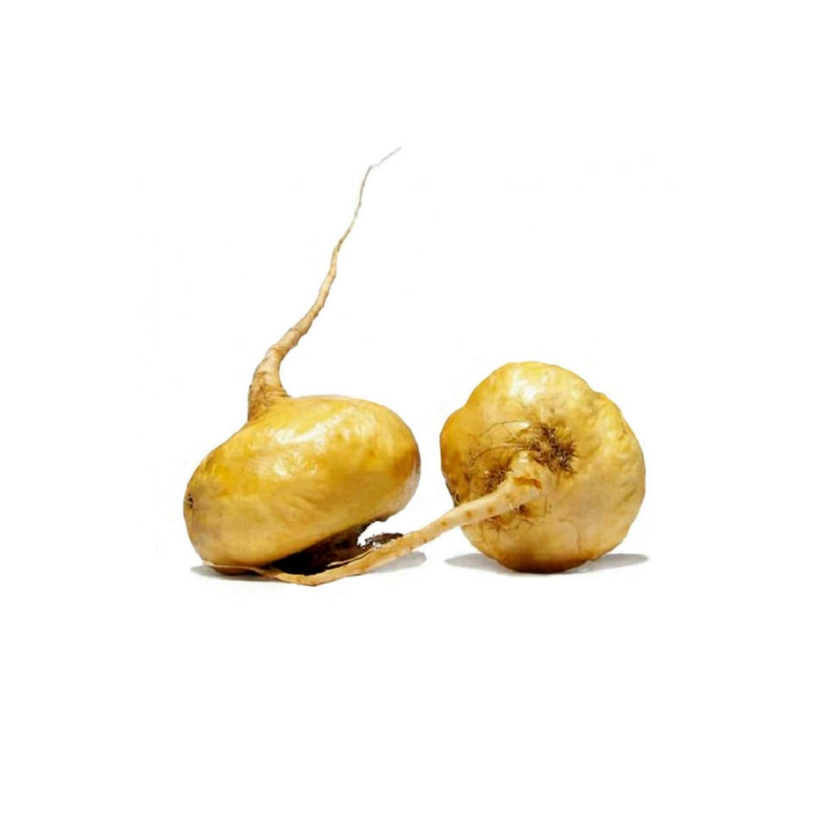 Βάμμα Μάκα 50ml