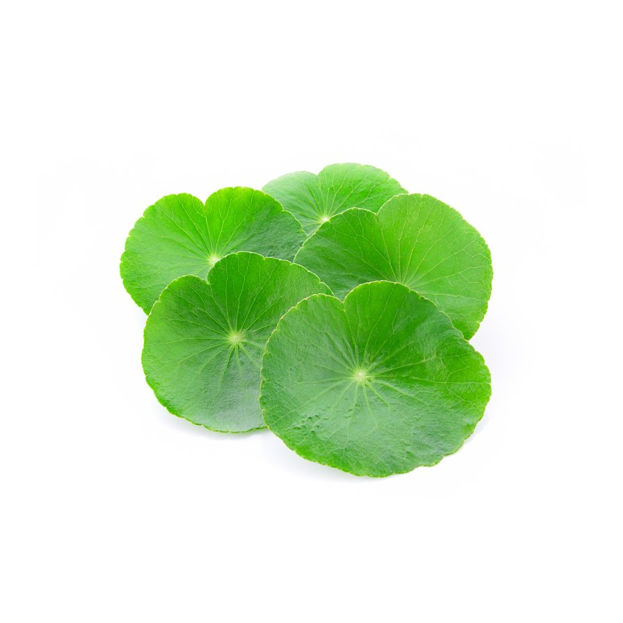 Βάμμα Σεντέλα 50ml