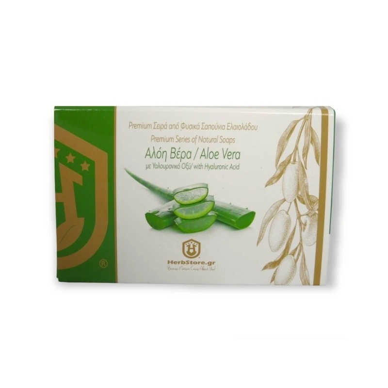 aloe vera gammelt Aloe vera (Echte Aloe) kaufen