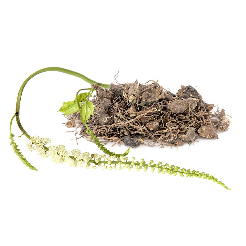 Βάμμα Τσιμιτσιφούγκα 50ml