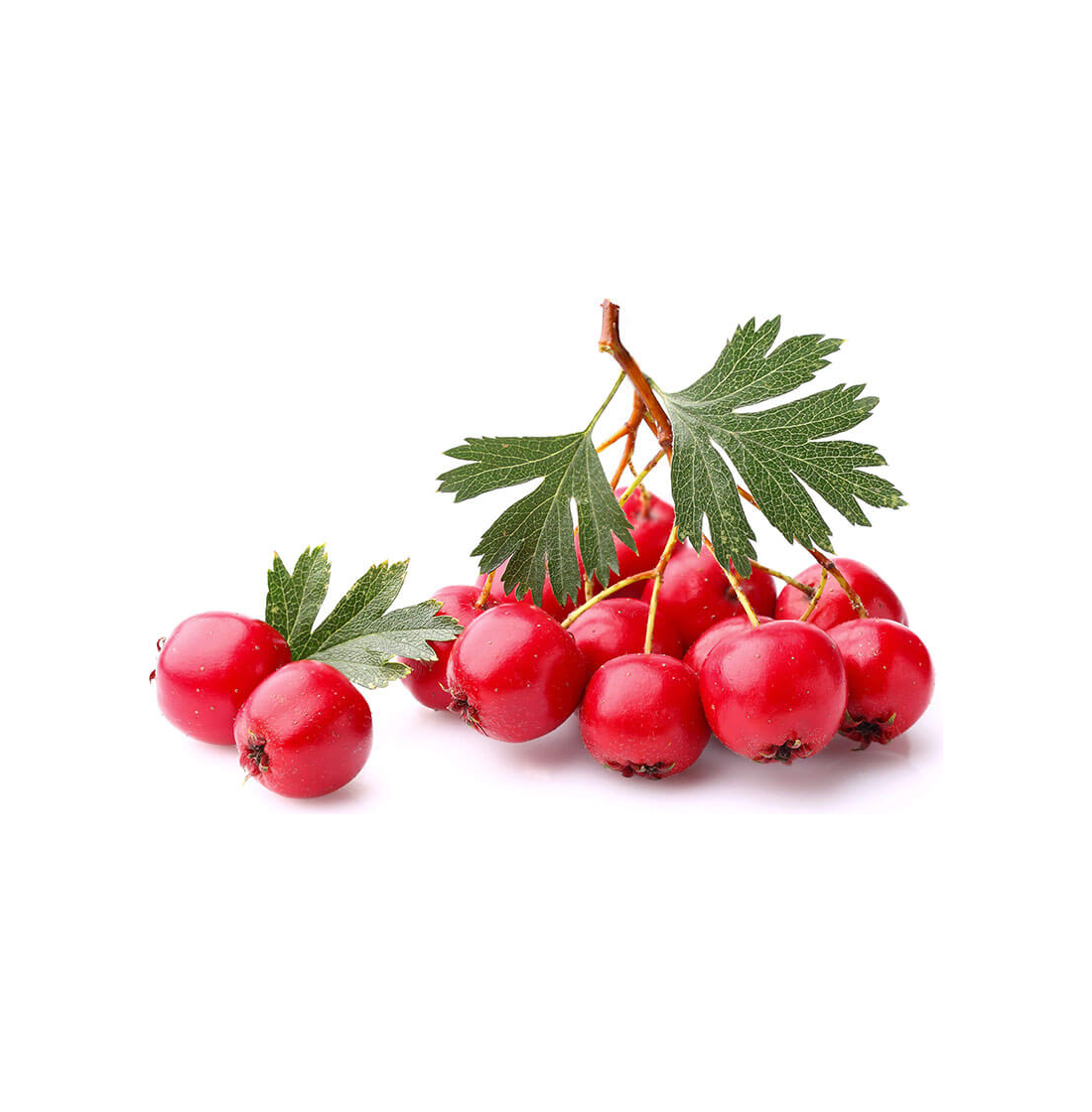 Κράταιγος καρπός (σκόνη)