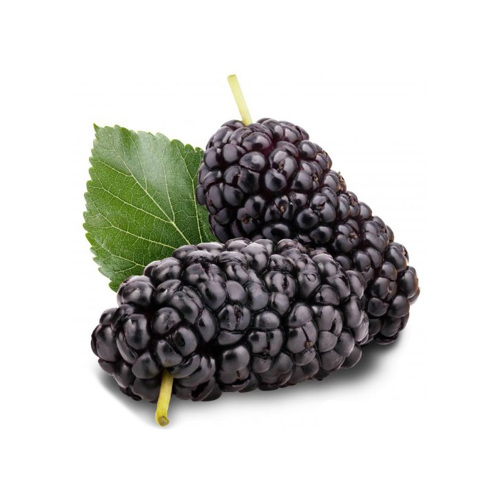 Μούρο (σκόνη)