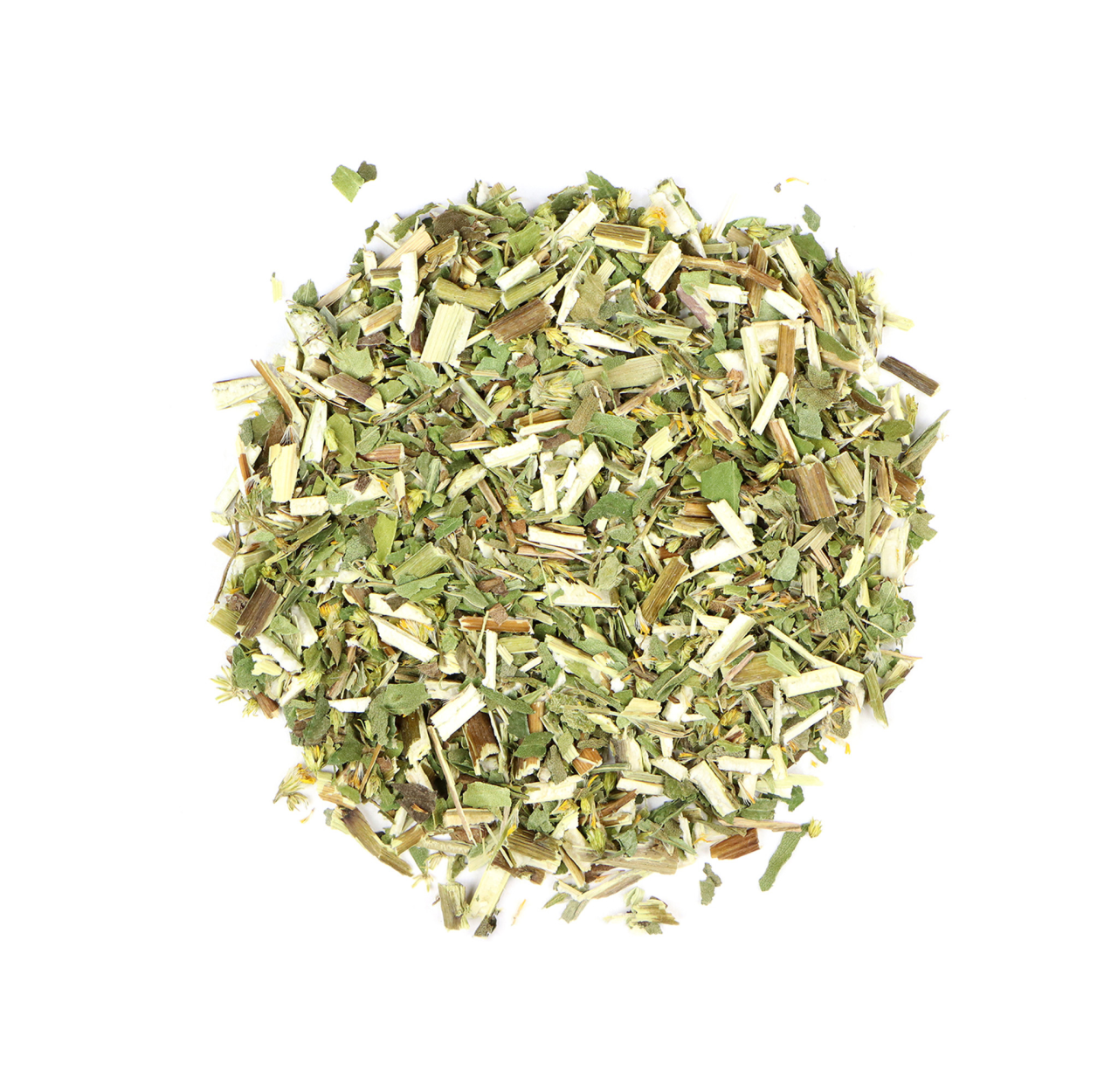 Χρυσόβεργα (Solidago)