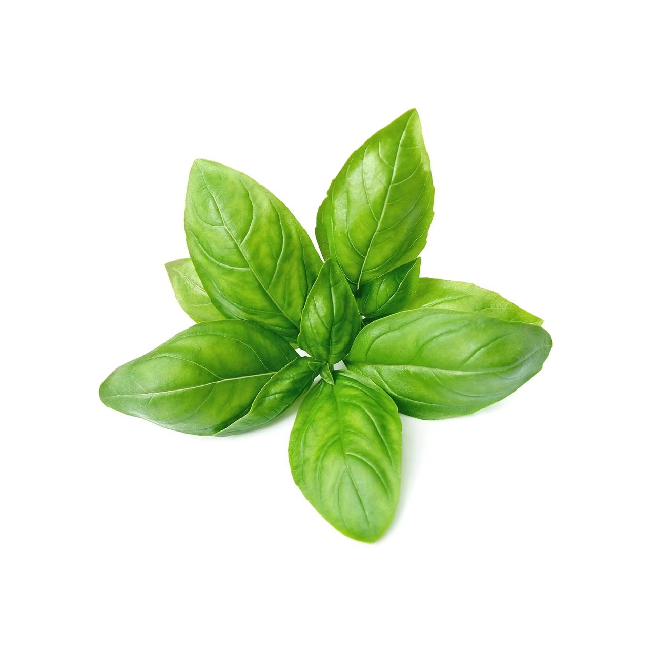 Βάμμα Βασιλικός 50ml