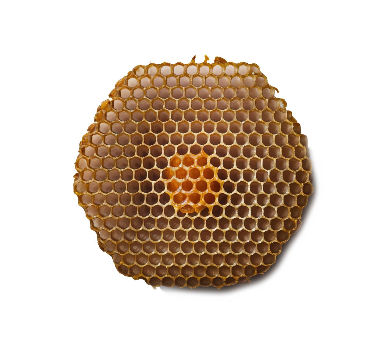 Κεραλοιφή Βασιλικός Πολτός (Royal Jelly) & Συνένζυμο Q10