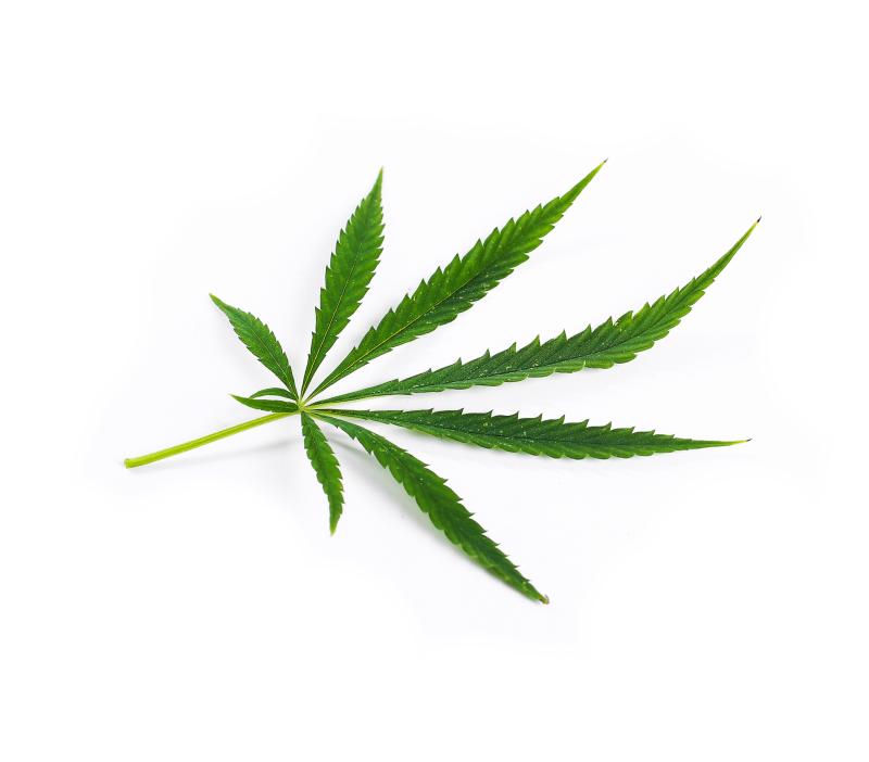 Κεραλοιφή Κάνναβης CBD 100mg