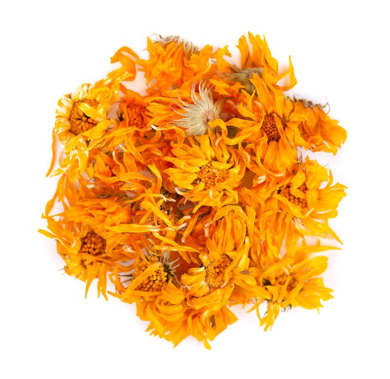 Calendula