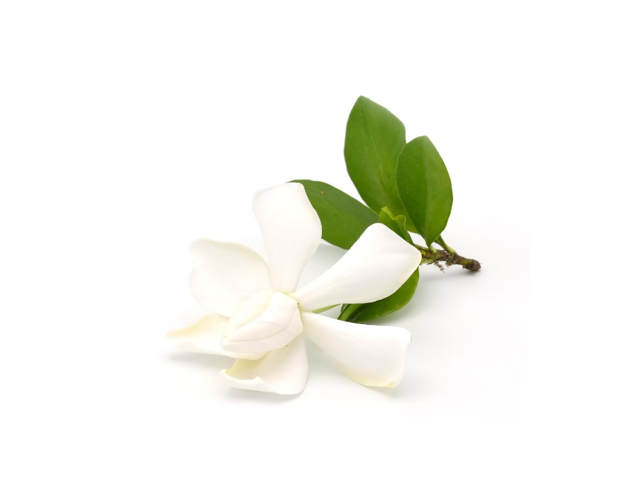 Βούτυρο Γιασεμί