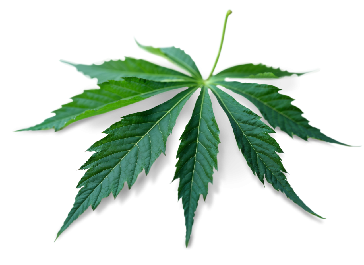 Βούτυρο Κάνναβη