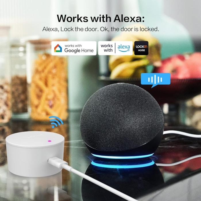 Lockin G-30 Gateway Wifi - Bluetooth Bridge