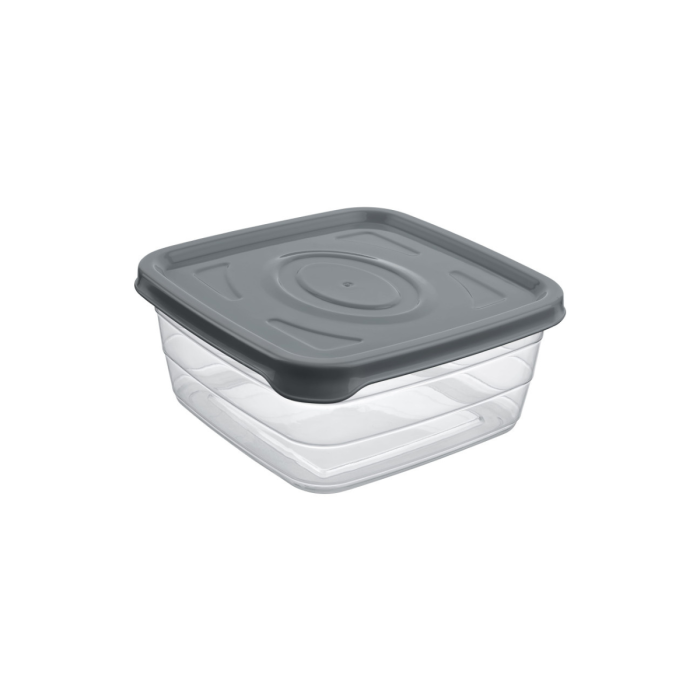 Viosarp Φαγητοδοχείο Trendy Τετράγωνο 1L 6,5x15x15cm
