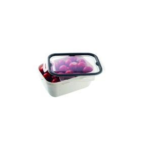 Viosarp Δοχείο Φαγητού 22x16.5x9cm 2000ml