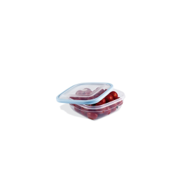 Viosarp Elegant Δοχείο Φαγητού Πλαστικό 1100ml 17,4 χ 17,4 χ 6,2cm 
