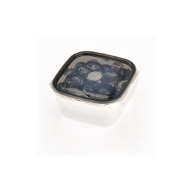Viosarp Δοχείο Φαγητού Πλαστικό 400ml 11x11x6cm
