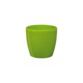 Plastona Roto 16 Κασπώ Λαχανί Χρώμα 16x14.5cm