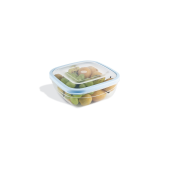 Viosarp Elegant Δοχείο Φαγητού 1600ml 19,5χ19,5χ7,5cm