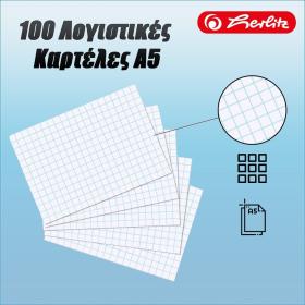 100 Λογιστικές Καρτέλες Α5 170gr/m²