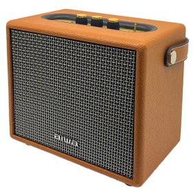 Aiwa Pro Bt Speaker with Rc Rms 55W Brown