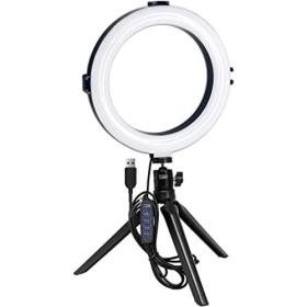 White Shark Ring Led Light Moonlight 20Cm