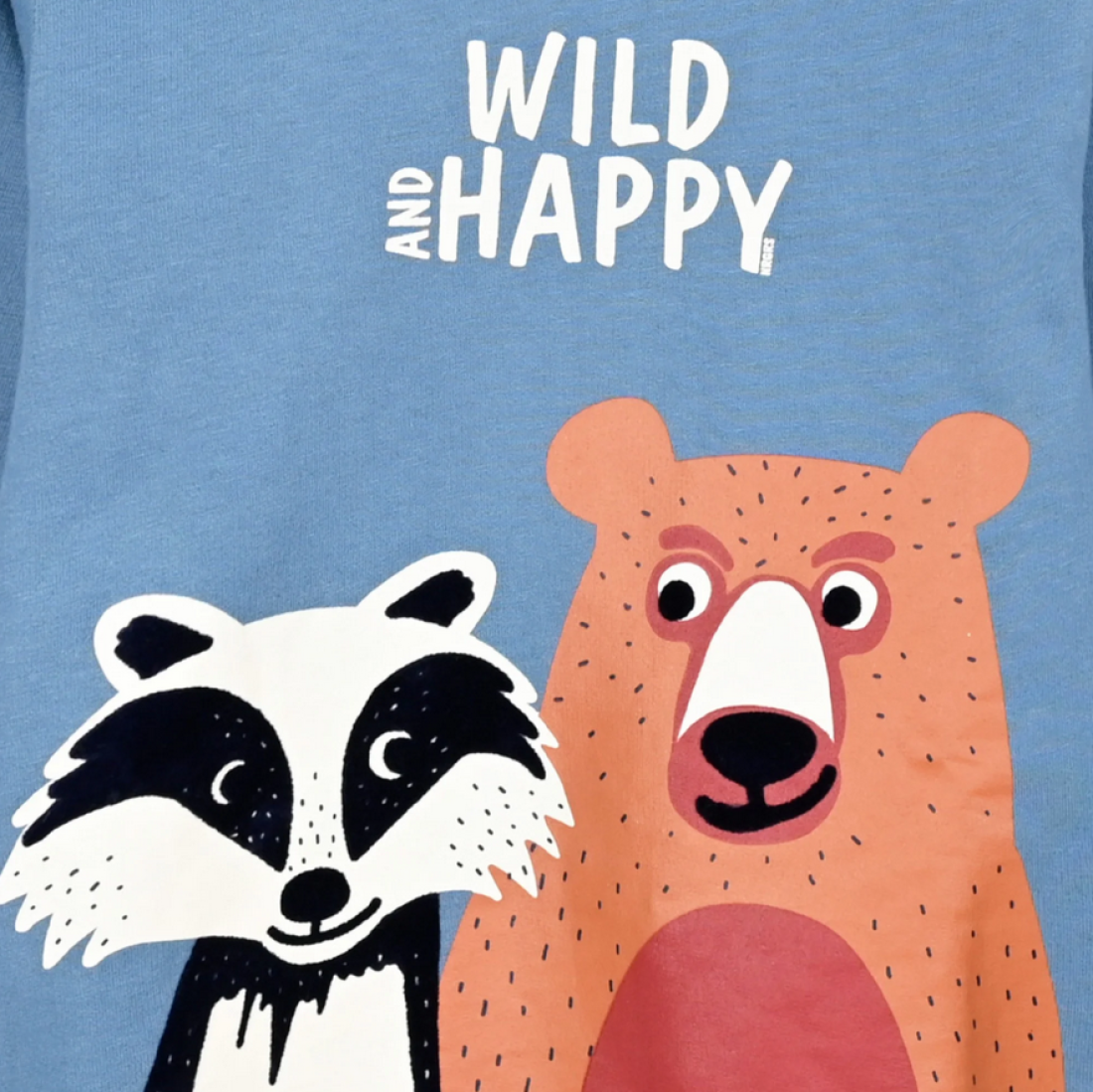 Μπλούζα φούτερ αγόρι "Wild and happy" ραφ