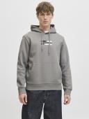 Μπλούζα φούτερ ανδρική "Graphic sweat" γκρι